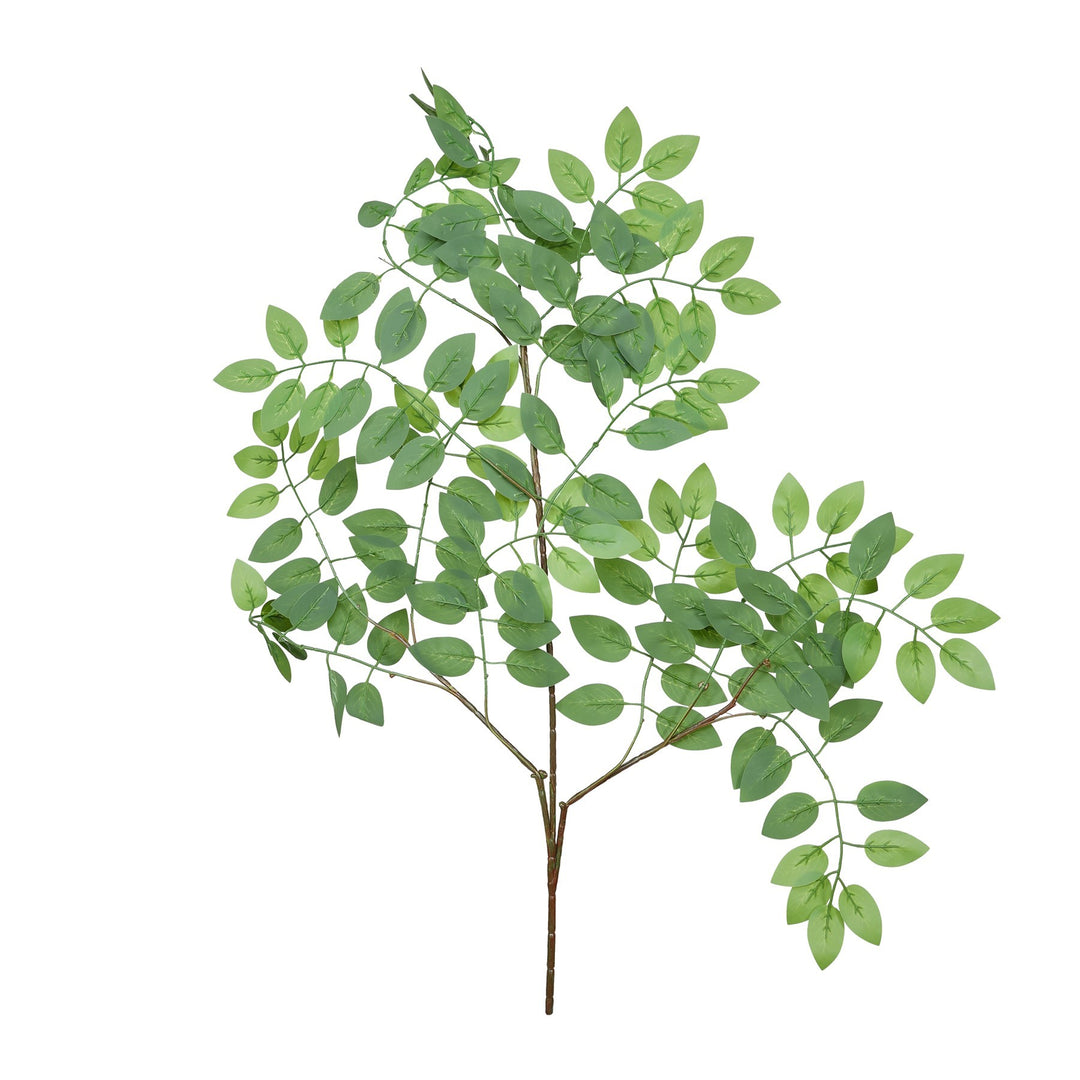Essential Green Wisteria Leaves