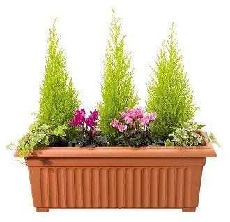 Stewart 70cm Corinthian Trough - Terracotta