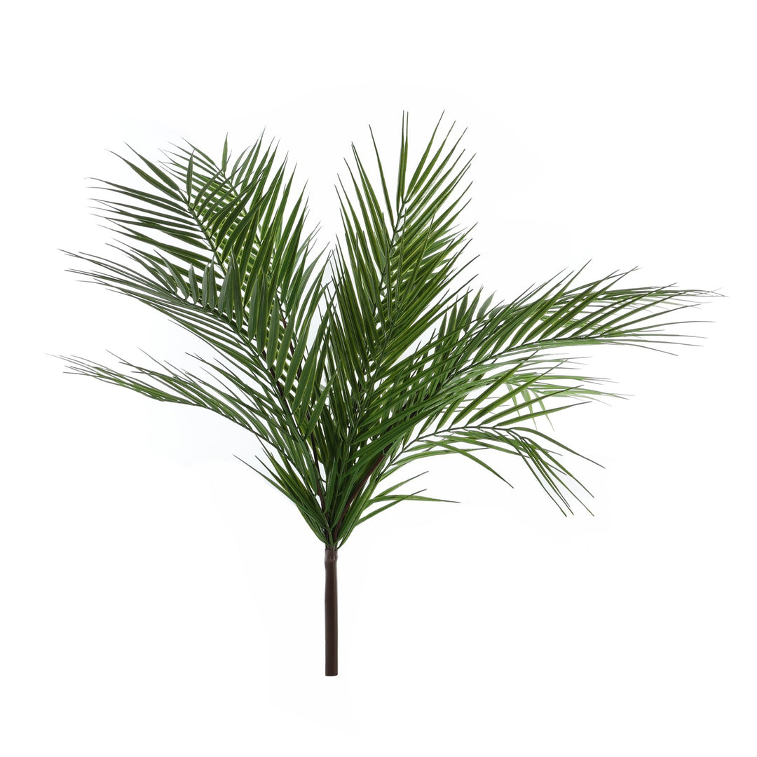 Essential Large Palm Plant