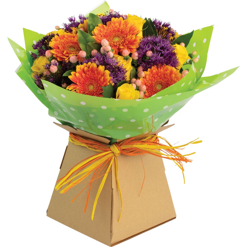 Lime Intense White Dot Cello (50mx80cm)